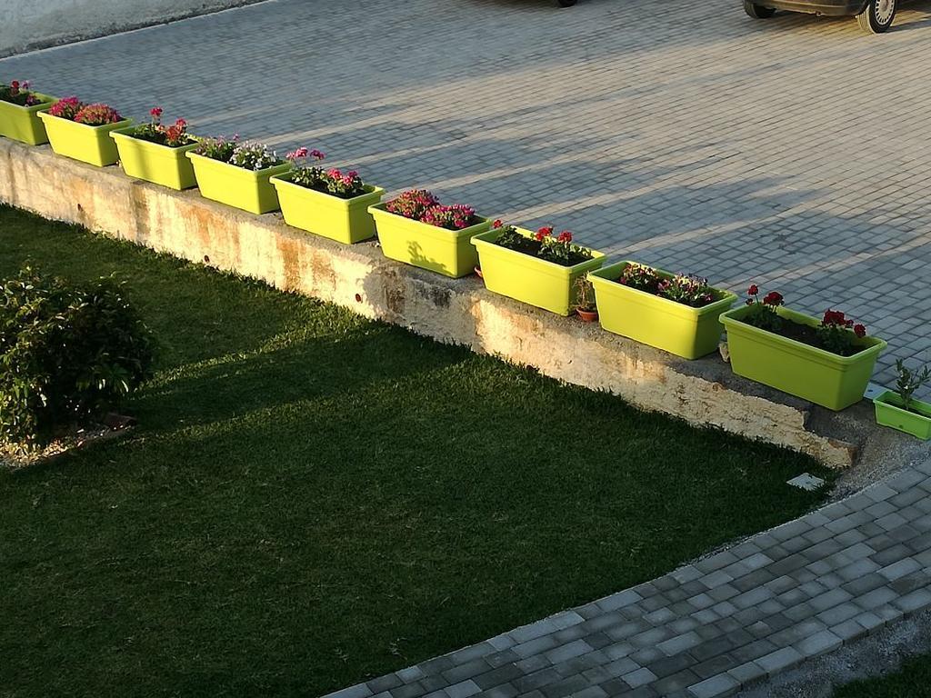 La Casa Delle Farfalle Bed and Breakfast Syrakuzy Zewnętrze zdjęcie