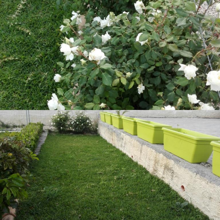 La Casa Delle Farfalle Bed and Breakfast Syrakuzy Zewnętrze zdjęcie