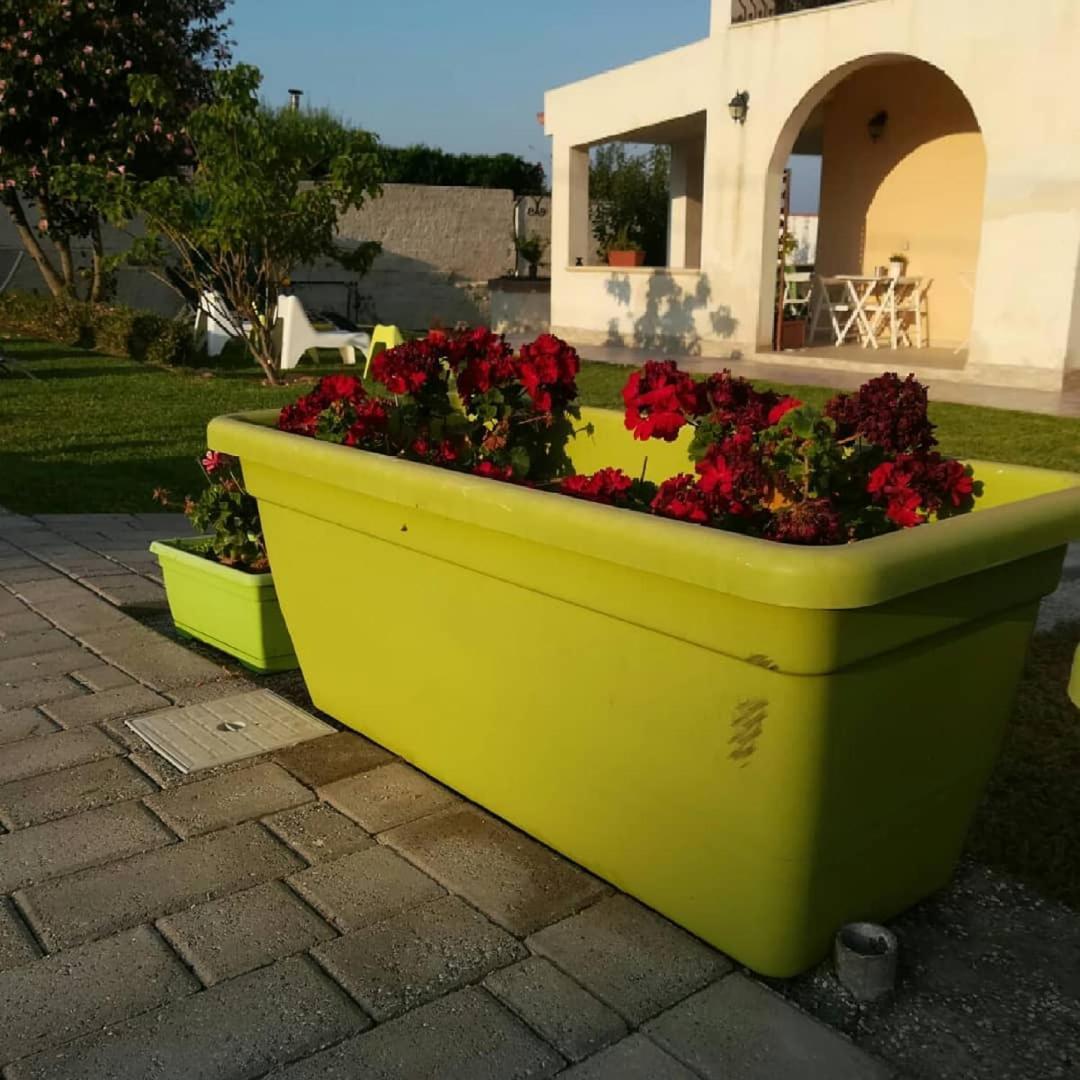 La Casa Delle Farfalle Bed and Breakfast Syrakuzy Zewnętrze zdjęcie